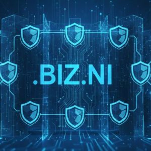 Built-in Security and Protection Features of .BIZ.NI Domains