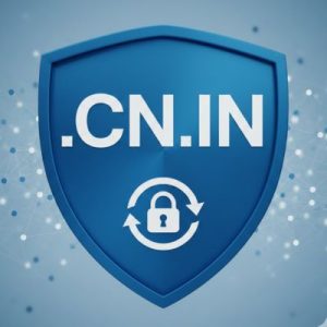 Built-in Security and Protection Features of .CN.IN domain