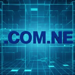 Built-in Security and Protection Features of .COM.NE Domains