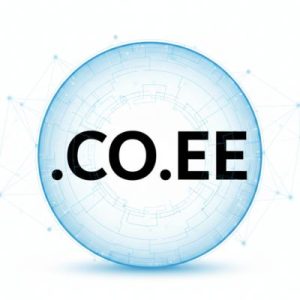 Built-in Security and Protection Features of .CO.EE Domain