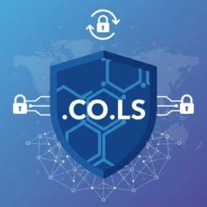 Built-in Security and Protection Features of .CO.LS Domain