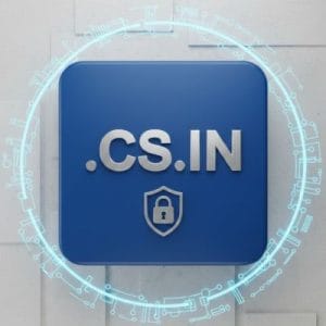 Built-in Security and Protection Features of .CS.IN Domain