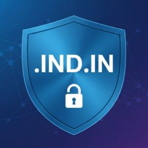 Built-in Security and Protection Features of .IND.IN Domain