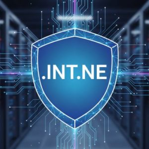 Built-in Security and Protection Features of .INT.NE Domains