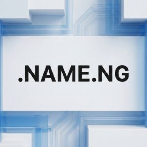 Built-in Security and Protection Features of .NAME.NG Domains