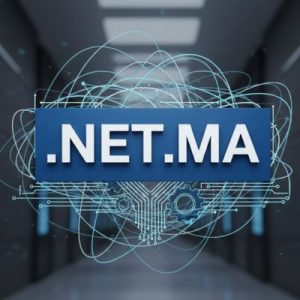 Built-in Security and Protection Features of .NET.MA Domains