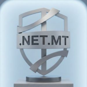 Built-in Security and Protection Features of .NET.MT Domains
