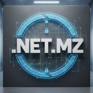 Built-in Security and Protection Features of .NET.MZ Domains