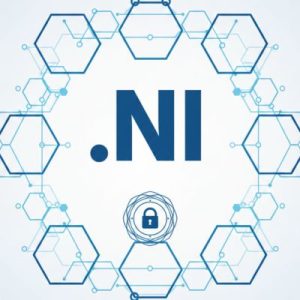 Built-in Security and Protection Features of .NI Domains