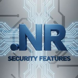 Built-in Security and Protection Features of .NR Domains