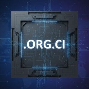 Built-in Security and Protection Features of .ORG.CI Domains