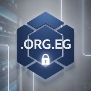 Built-in Security and Protection Features of .ORG.EG Domain