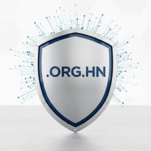Built-in Security and Protection Features of .ORG.HN Domain