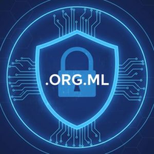 Built-in Security and Protection Features of .ORG.ML Domain