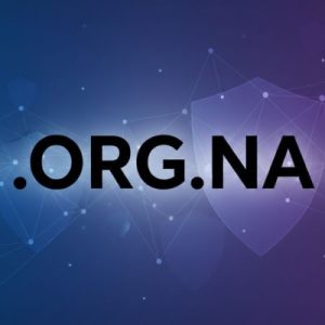 Built-in Security and Protection Features of .ORG.NA Domains