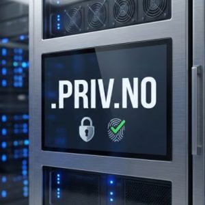 Built-in Security and Protection Features of .PRIV.NO Domains