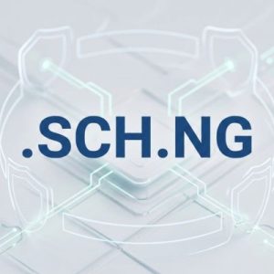 Built-in Security and Protection Features of .SCH.NG Domains