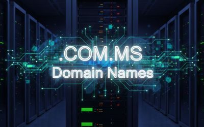.COM.MS Domain Names