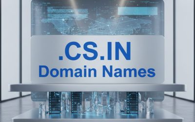 .CS.IN Domain Names