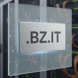 
Complete .BZ.IT Domain Registration Workflow