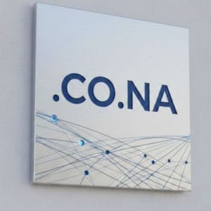 Complete .CO.NA Domain Registration Workflow