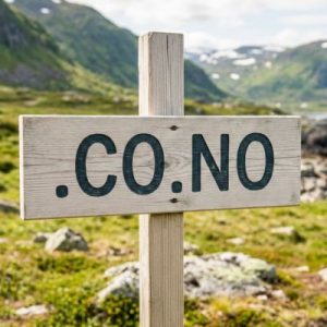 Complete .CO.NO Domain Registration Workflow