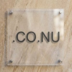 Complete .CO.NU Domain Registration Workflow