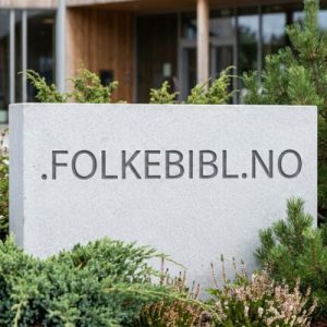 Complete .FOLKEBIBL.NO Domain Registration Workflow