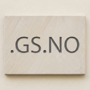 Complete .GS.NO Domain Registration Workflow