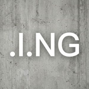 Complete .I.NG Domain Registration Workflow