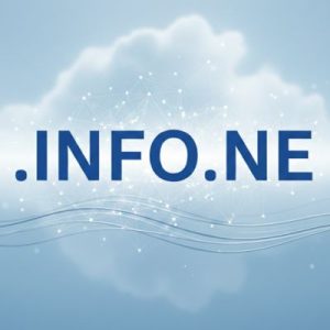 Complete .INFO.NE Domain Registration Workflow