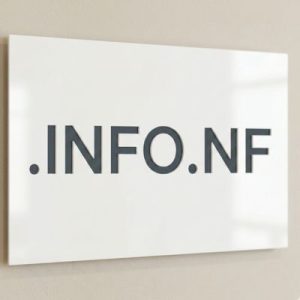 Complete .INFO.NF Domain Registration Workflow