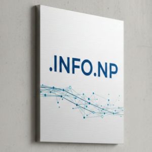 Complete .INFO.NP Domain Registration Workflow