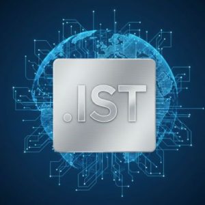 Complete .IST Domain Registration Workflow