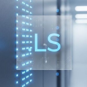 Complete .LS Domain Registration Workflow