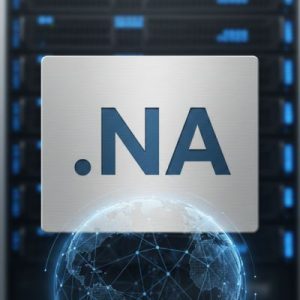 Complete .NA Domain Registration Workflow
