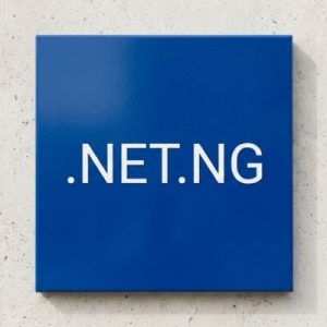 Complete .NET.NG Domain Registration Workflow