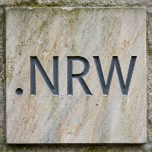 Complete .NRW Domain Registration Workflow