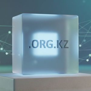 Complete .ORG.KZ Domain Registration Workflow