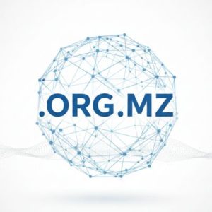 Complete .ORG.MZ Domain Registration Workflow
