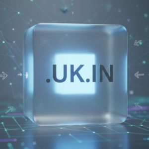 Complete .UK.IN Domain Registration Workflow