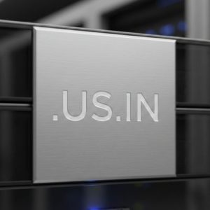 Complete .US.IN Domain Registration Workflow