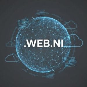 Complete .WEB.NI Domain Registration Workflow