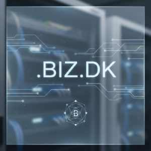DNS Settings and Management for .BIZ.DK Domains