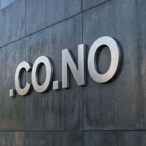 Eligibility Criteria for Registering a .CO.NO Domain