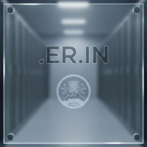 Eligibility Criteria for Registering a .ER.IN Domain