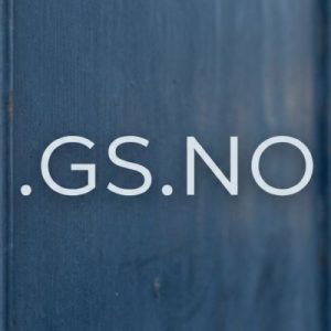 Eligibility Criteria for Registering a .GS.NO Domain