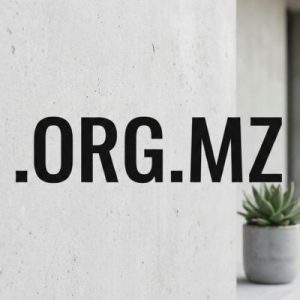 Eligibility Criteria for Registering a .ORG.MZ Domain