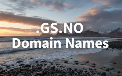 .GS.NO Domain Names