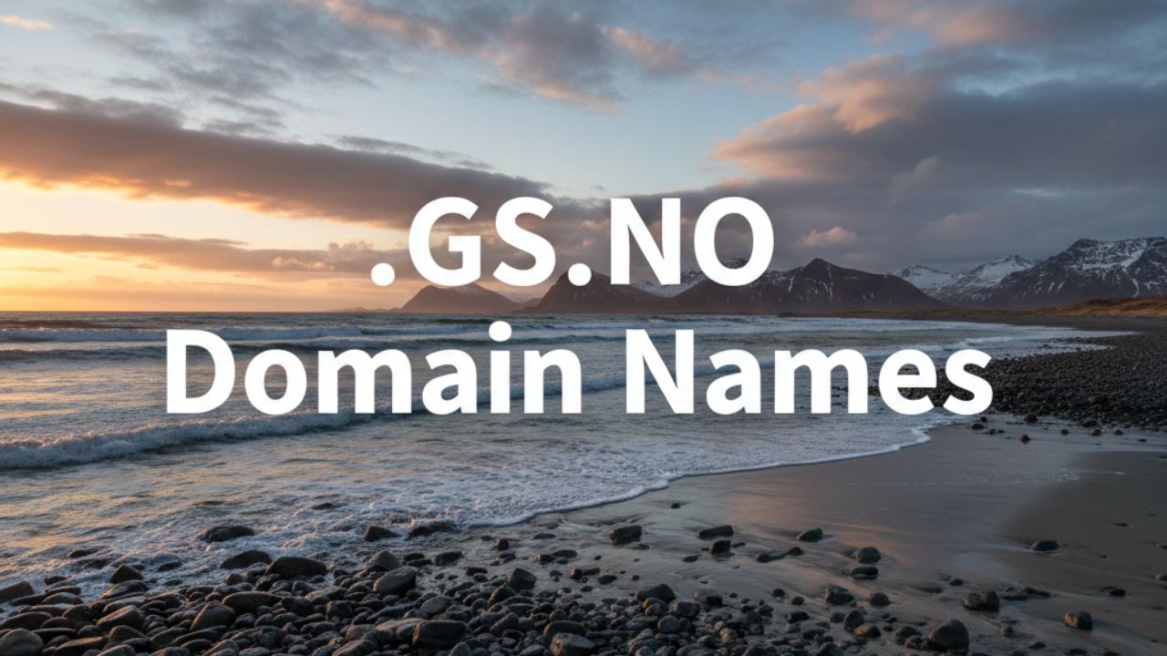 .GS.NO Domain Names